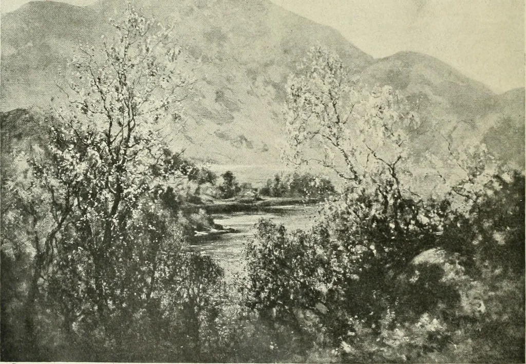 An illustration from International studio, 1897, leaf 259