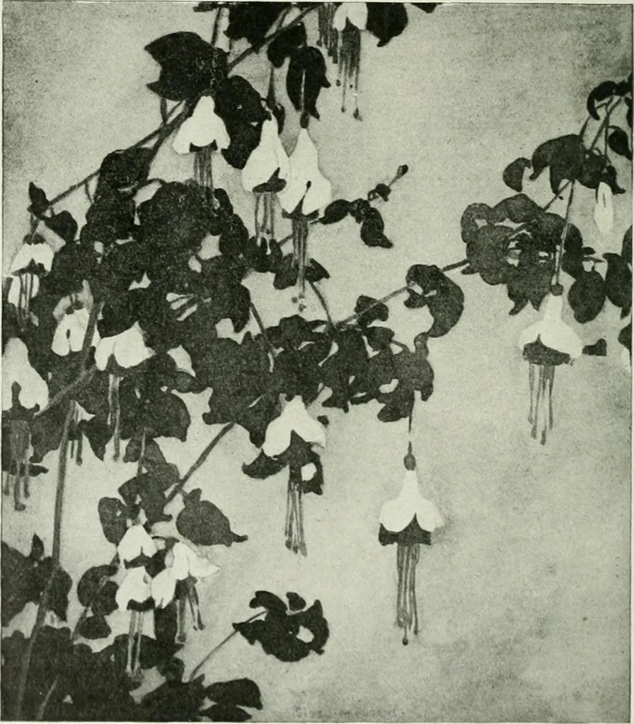 An illustration from International studio, 1897, leaf 193