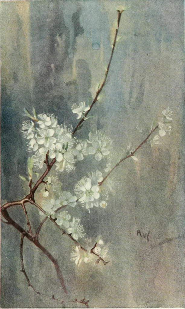 An illustration from International studio, 1897, leaf 214