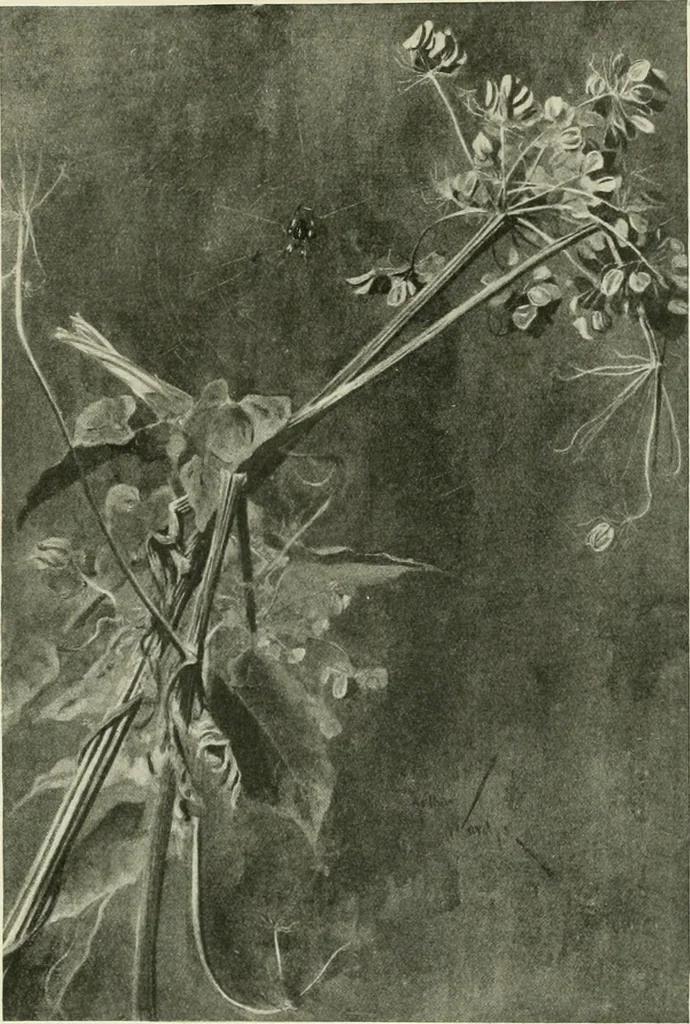An illustration from International studio, 1897, leaf 216