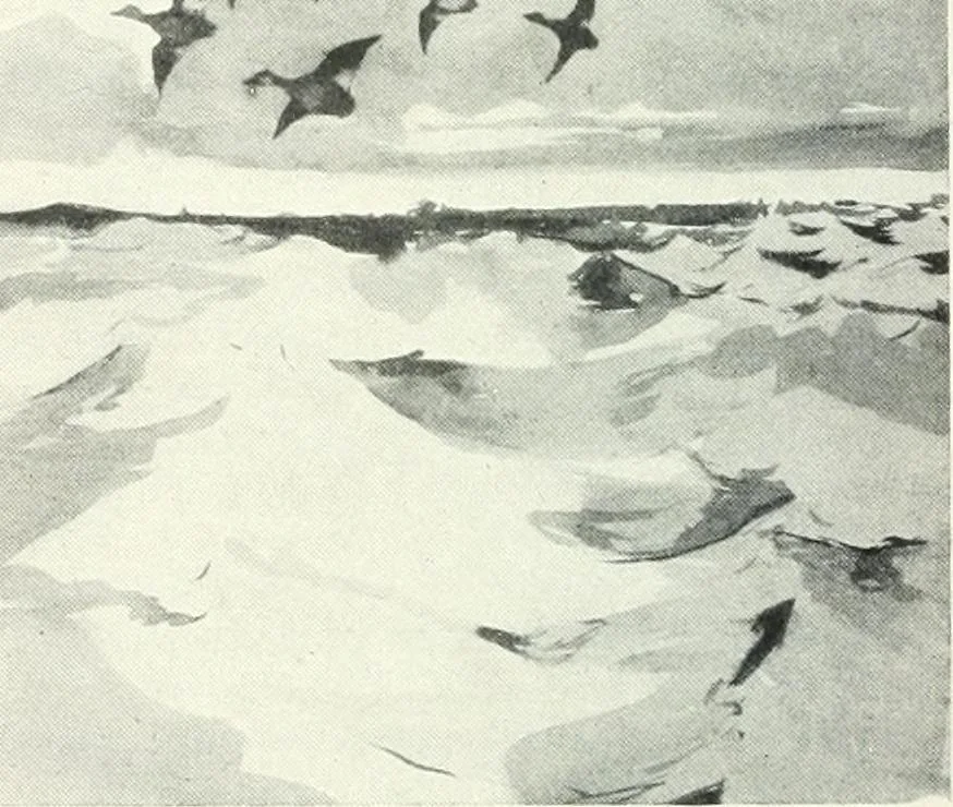 An illustration from International studio, 1897, leaf 133