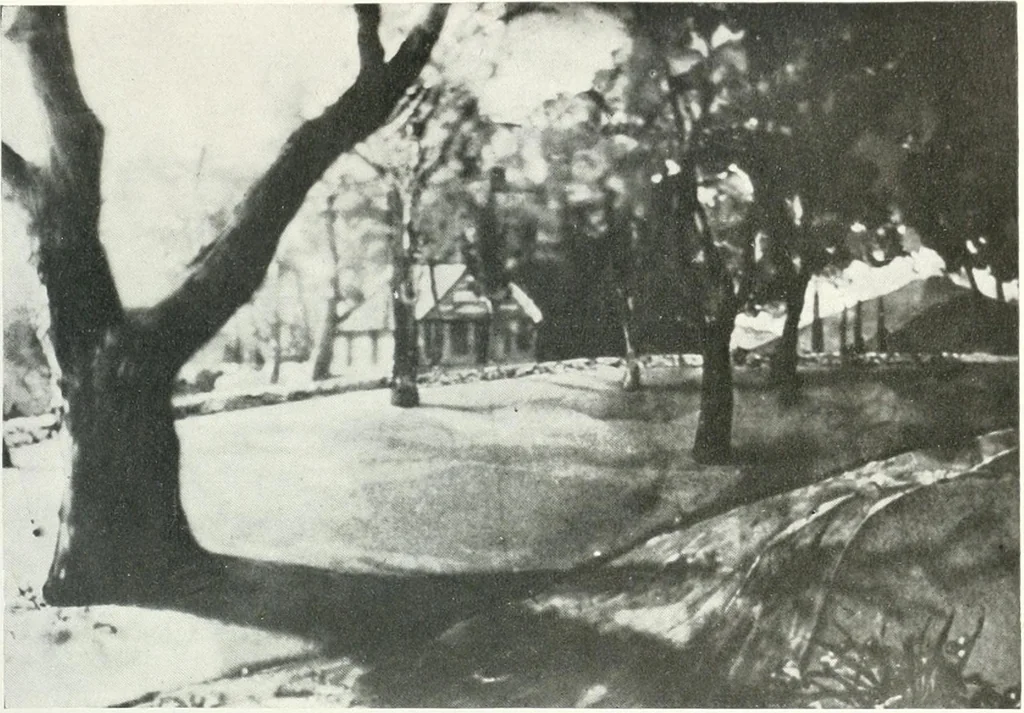 An illustration from International studio, 1897, leaf 332