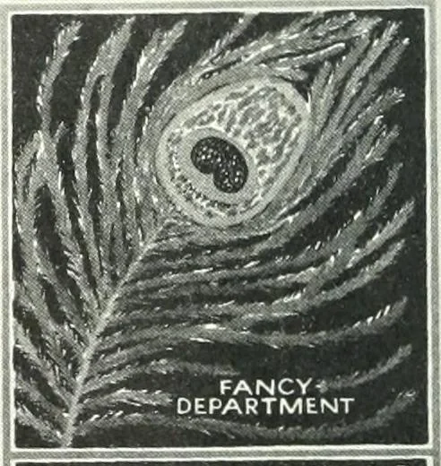 An illustration from International studio, 1897, leaf 475