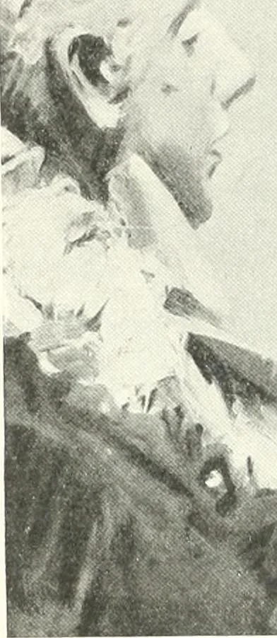 An illustration from International studio, 1897, leaf 156