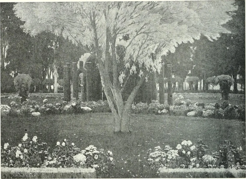 An illustration from International studio, 1897, leaf 276