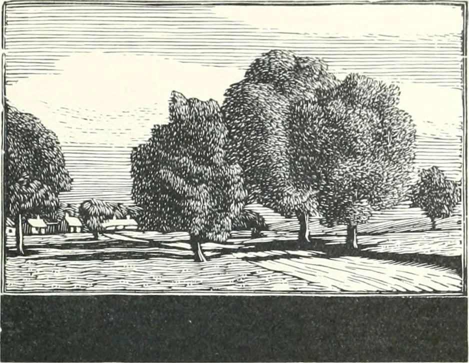 An illustration from International studio, 1897, leaf 301