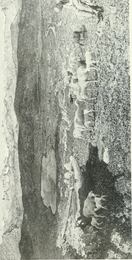 An illustration from International studio, 1897, leaf 352
