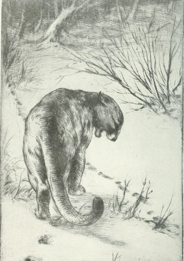 An illustration from International studio, 1897, leaf 442