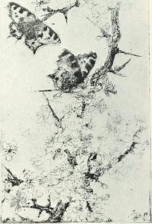 An illustration from International studio, 1897, leaf 444