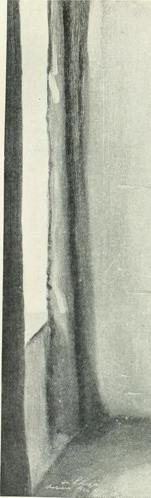 An illustration from International studio, 1897, leaf 467