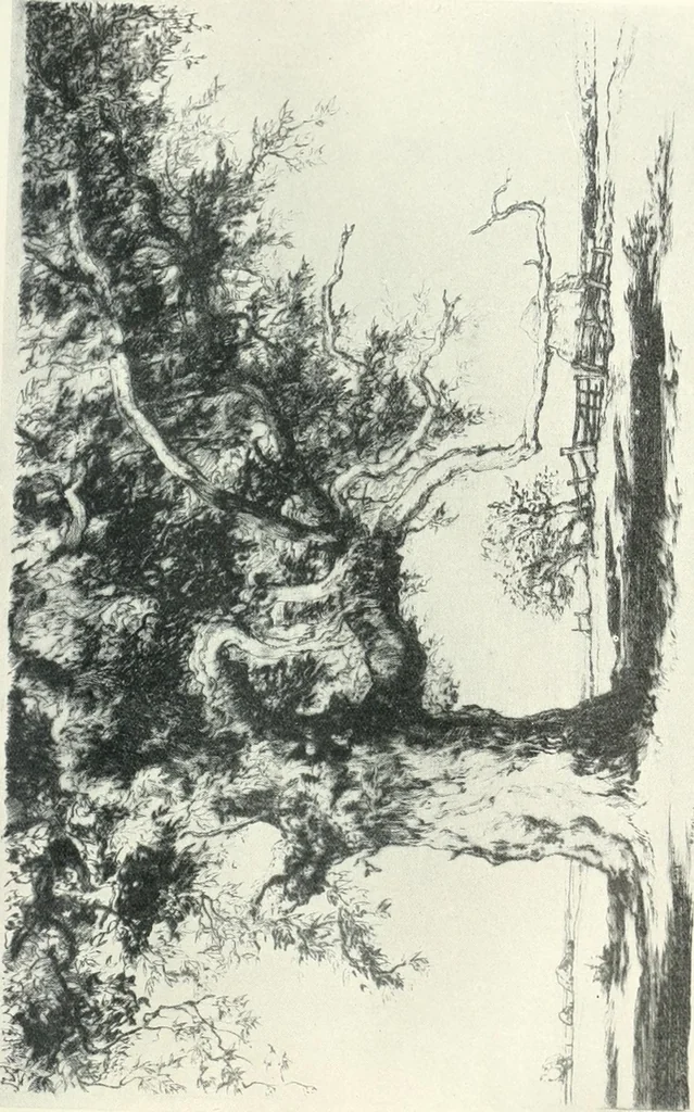 An illustration from International studio, 1897, leaf 471