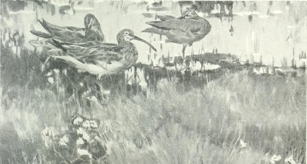 An illustration from International studio, 1897, leaf 501