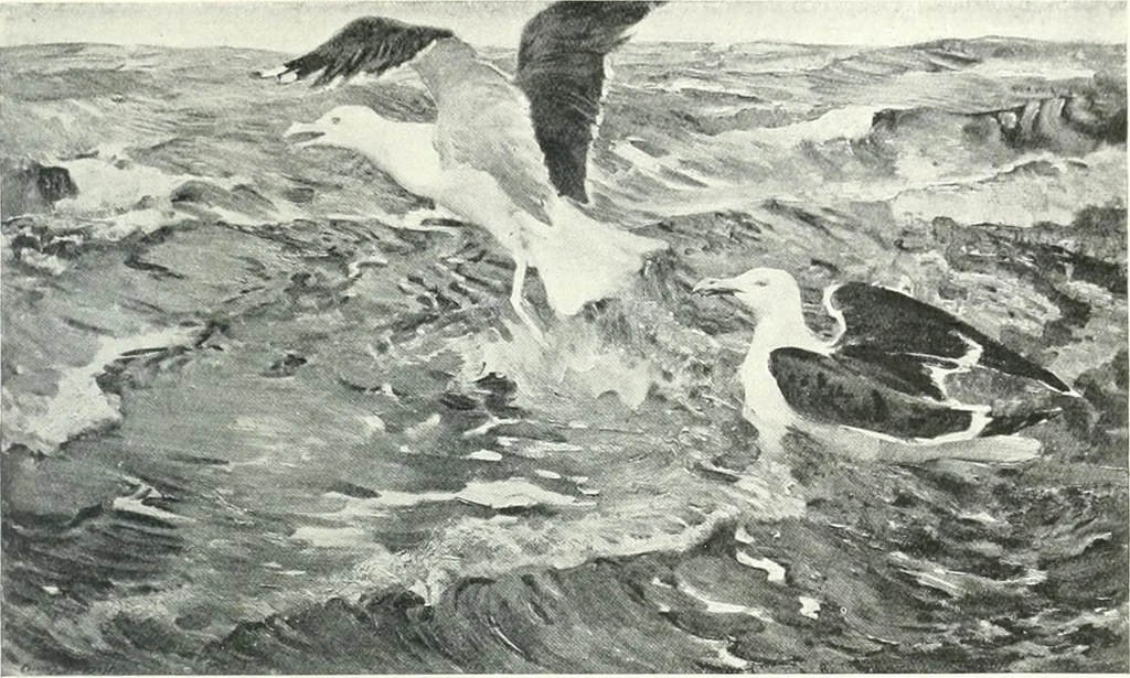 An illustration from International studio, 1897, leaf 505