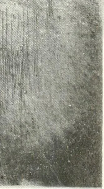 An illustration from International studio, 1897, leaf 53