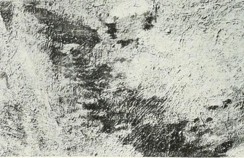 An illustration from International studio, 1897, leaf 94