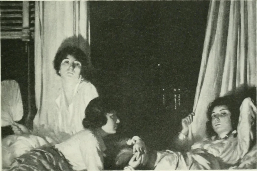 An illustration from International studio, 1897, leaf 292