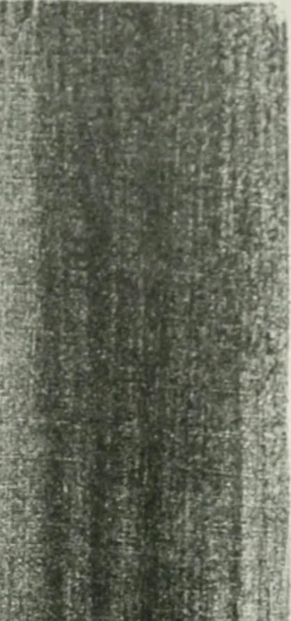 An illustration from International studio, 1897, leaf 294