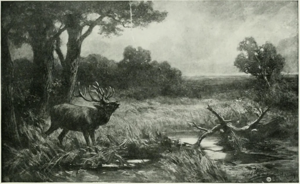 An illustration from International studio, 1897, leaf 30