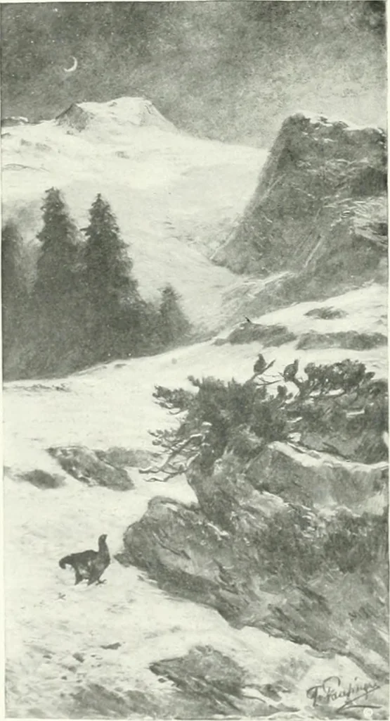 An illustration from International studio, 1897, leaf 31