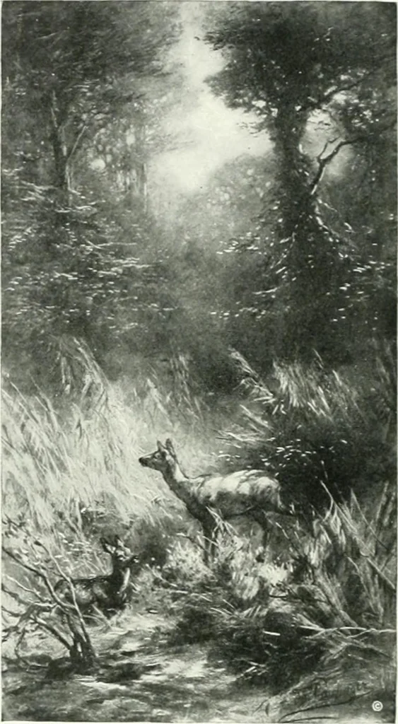 An illustration from International studio, 1897, leaf 31