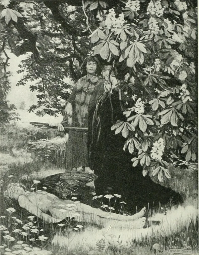 An illustration from International studio, 1897, leaf 315
