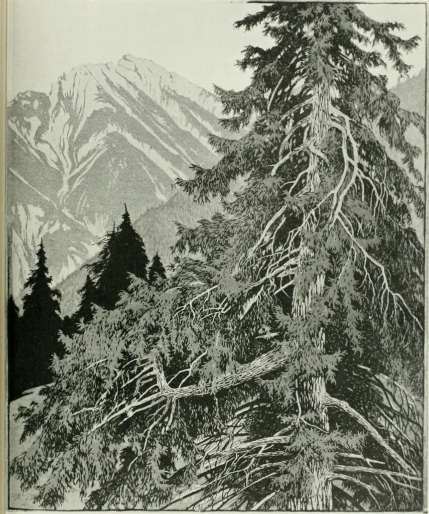 An illustration from International studio, 1897, leaf 350