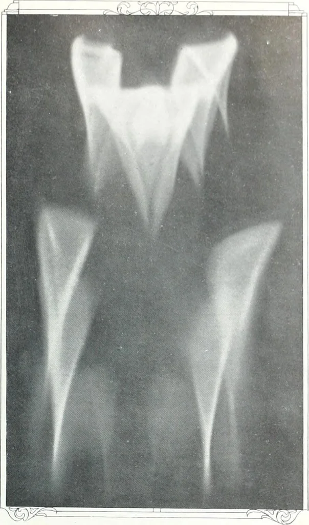 An illustration from International studio, 1897, leaf 102