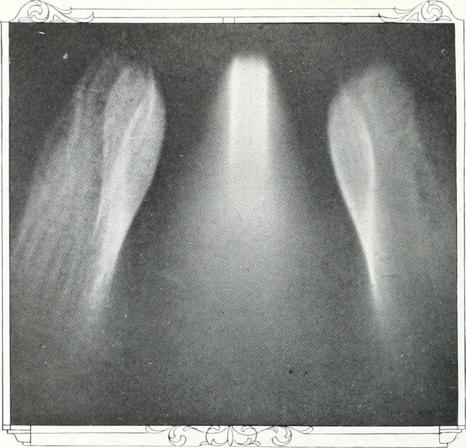 An illustration from International studio, 1897, leaf 103