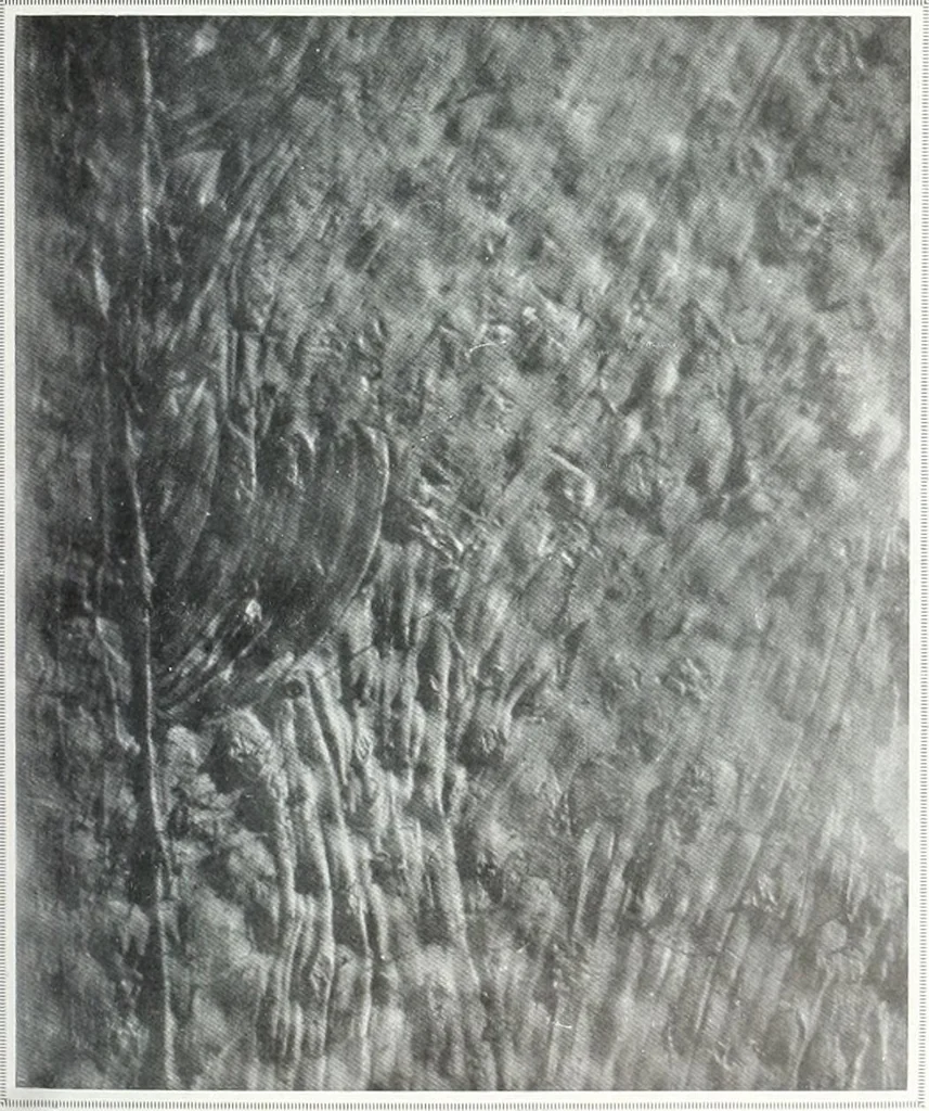 An illustration from International studio, 1897, leaf 194