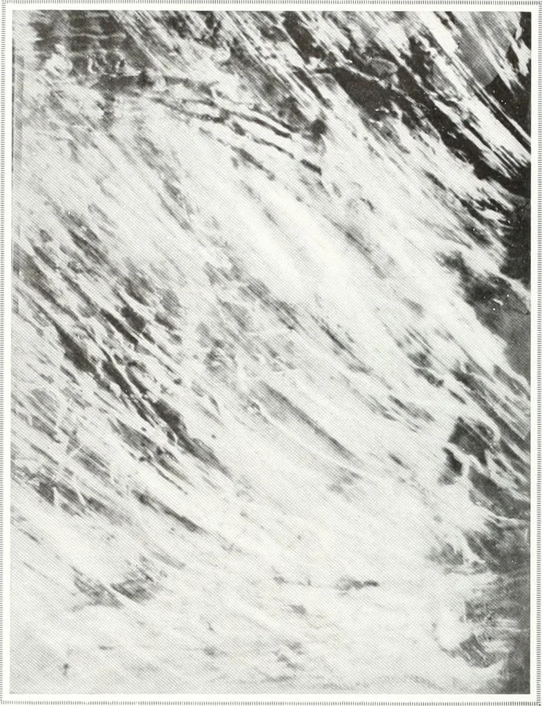 An illustration from International studio, 1897, leaf 195