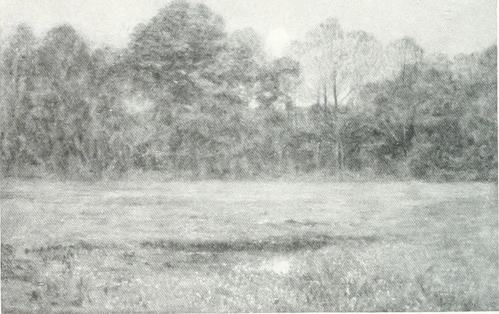 An illustration from International studio, 1897, leaf 221