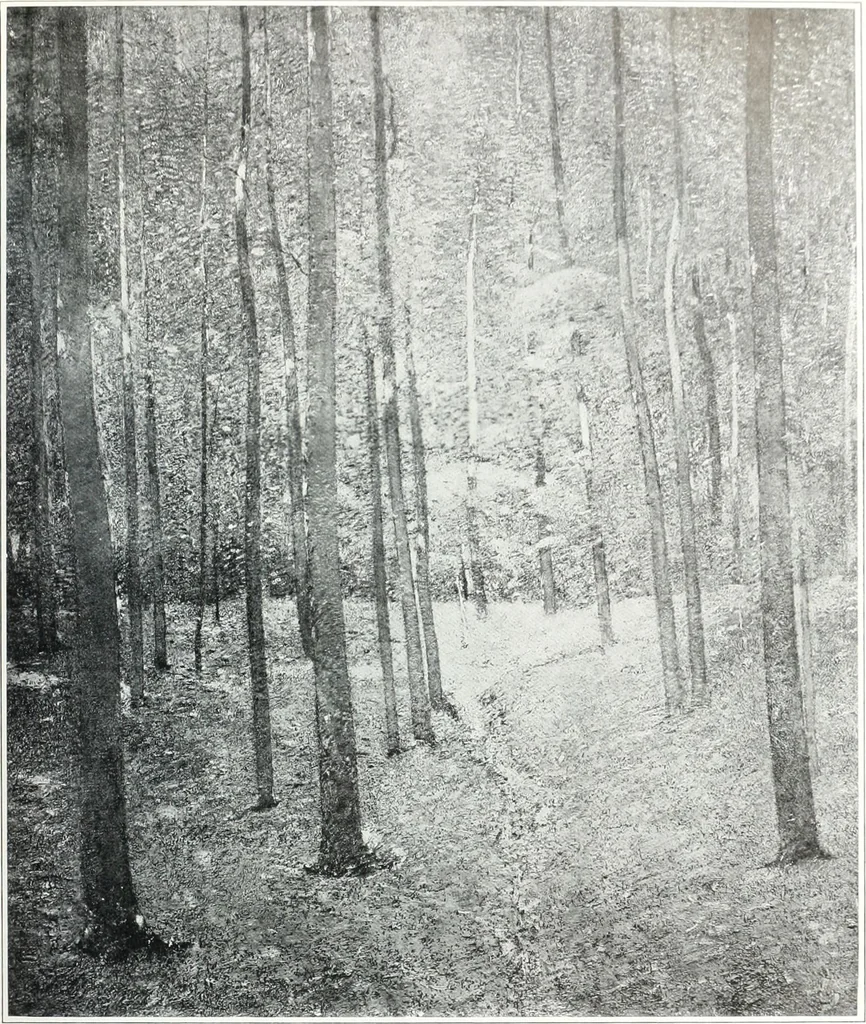An illustration from International studio, 1897, leaf 378