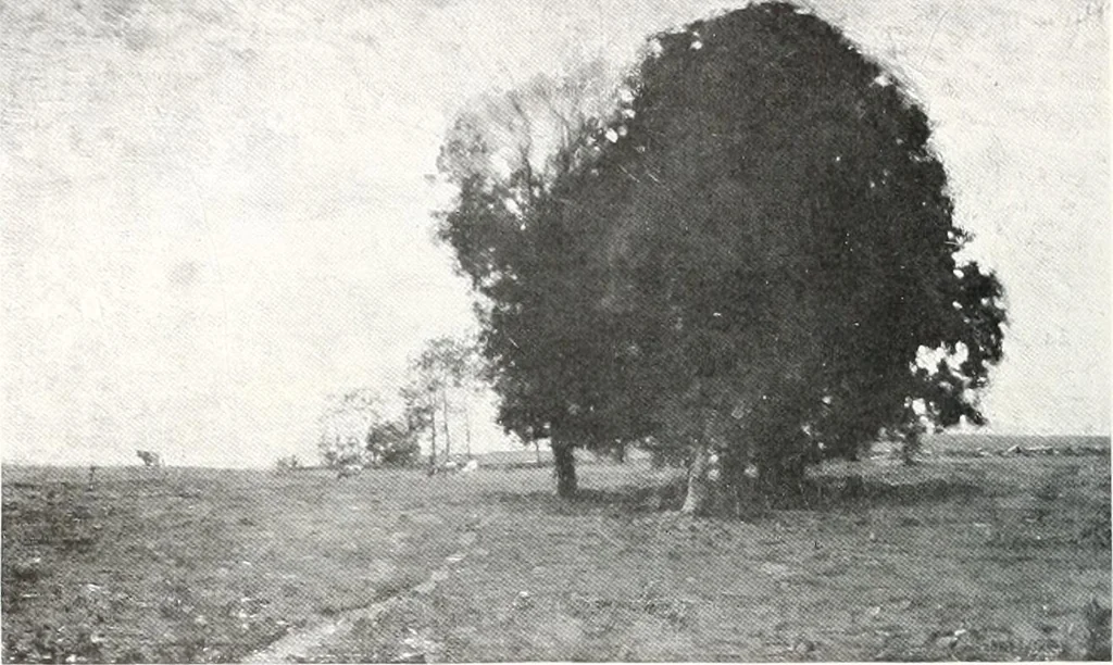 An illustration from International studio, 1897, leaf 443