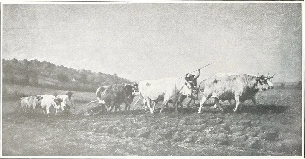 An illustration from International studio, 1897, leaf 461