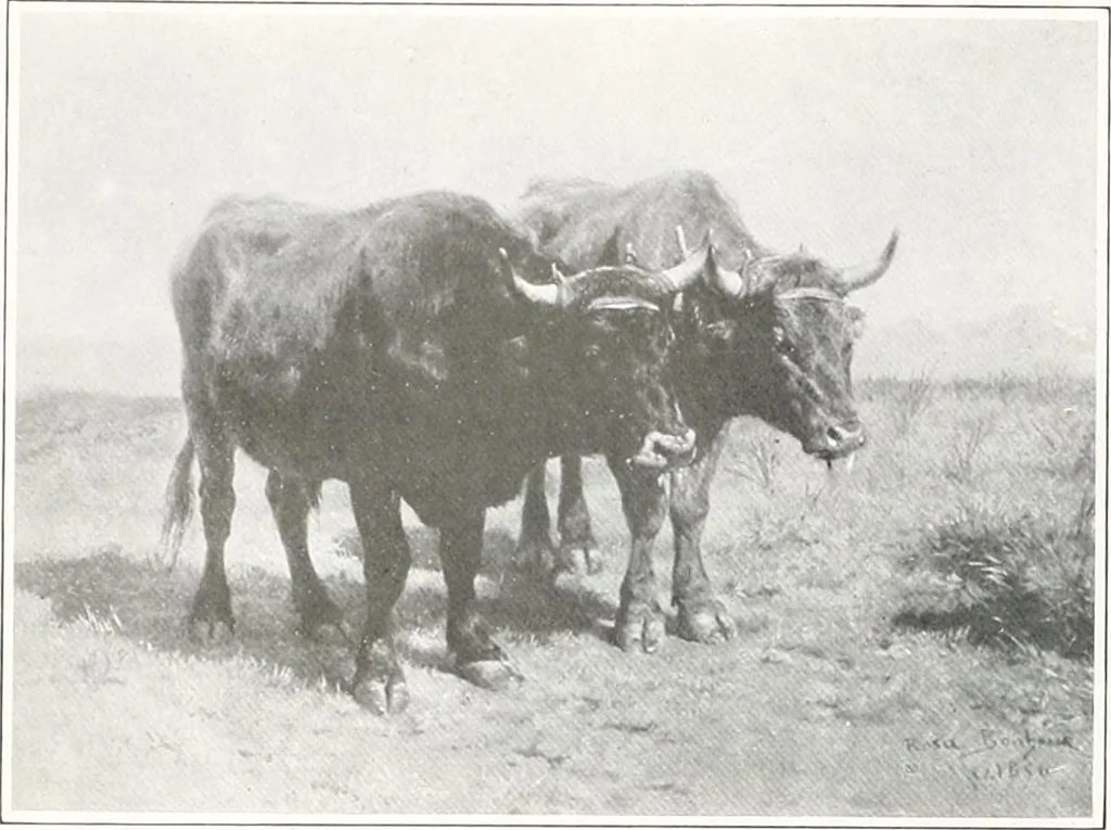 An illustration from International studio, 1897, leaf 463