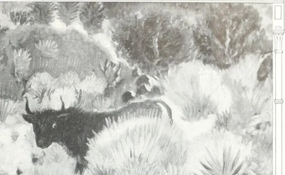 An illustration from International studio, 1897, leaf 74