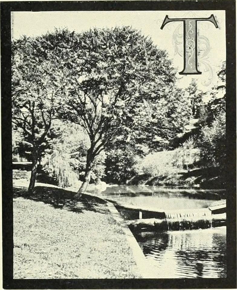 An illustration from International Typographical Union souvenir for 1905 : fifty-first session, I.T.U. held in Toronto, Canada, August 14 to 19 1905, under auspices of Toronto Union, no. 91. --, 1905, leaf 44