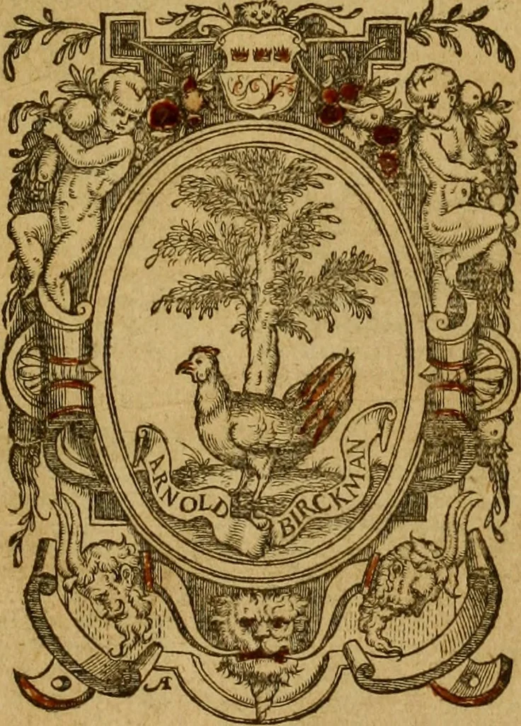 An illustration from Interpretatio compendiosa in tres libros vsuum feudorum, 1555, leaf 6
