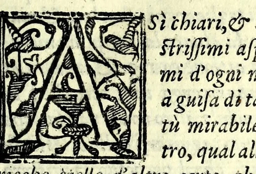An illustration from Intertenimento illustre del senso, & della ragione : in forma di dialogo con gli suoi intermedij apparenti, 1604, leaf 15