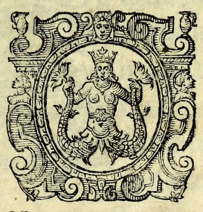An illustration from Intertenimento illustre del senso, & della ragione : in forma di dialogo con gli suoi intermedij apparenti, 1604, leaf 5