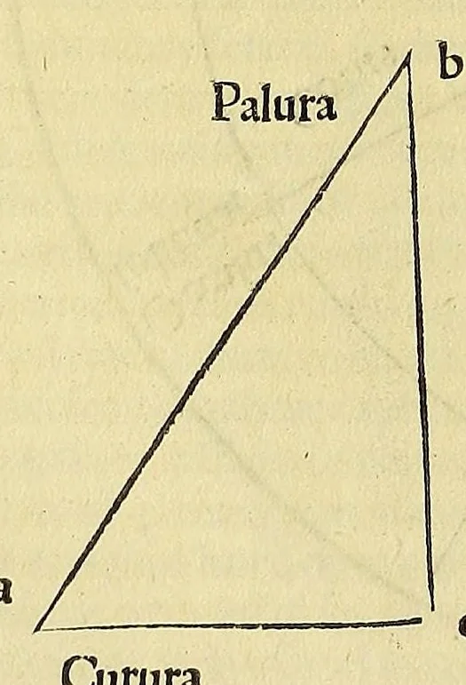 An illustration from Introductio geographica Petri Apiani in doctissimas Verneri annotationes, co[n]tinens plenum intellectum [et] iudicium omnis operationis, quæ per sinus [et] chordas in géographia confici potest, adiuncto radio astronomico cum quadrante nouo meteoroscopii loco longe vitilissimo. : Huic accedit translatio noua primi libri Géographiæ Cl. Ptolemæi ., 1533, leaf 104