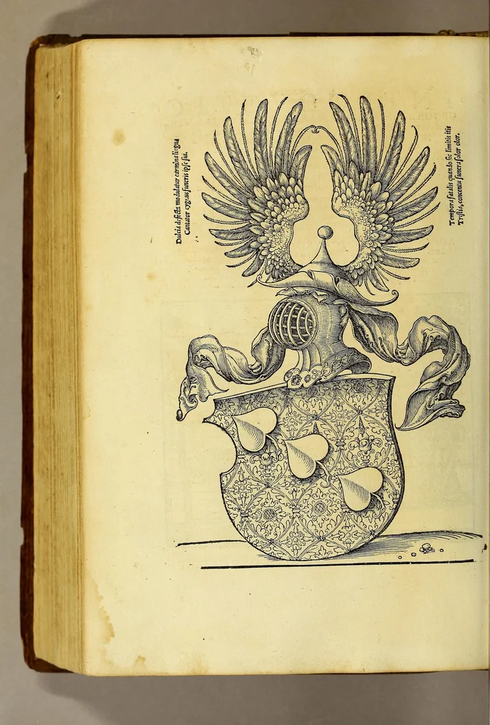An illustration from Introductio geographica Petri Apiani in doctissimas Verneri annotationes, co[n]tinens plenum intellectum [et] iudicium omnis operationis, quæ per sinus [et] chordas in géographia confici potest, adiuncto radio astronomico cum quadrante nouo meteoroscopii loco longe vitilissimo. : Huic accedit translatio noua primi libri Géographiæ Cl. Ptolemæi ., 1533, leaf 6