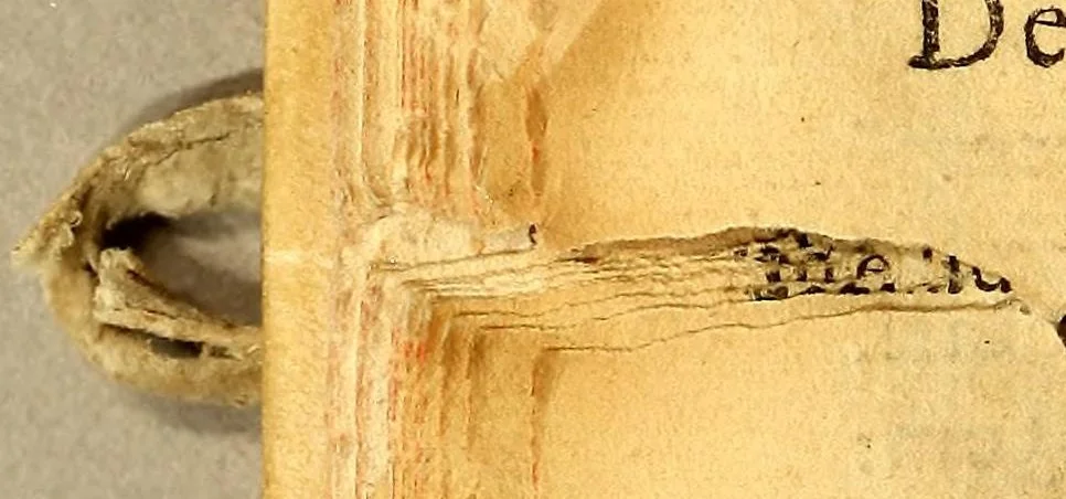 An illustration from Introductio in dialecticam Aristotelis,, 1578, leaf 38
