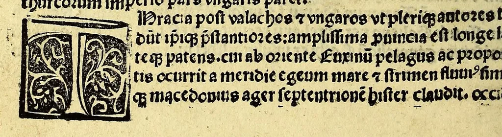 An illustration from Introductio in Ptholomei cosmographia[m] : cu[m] longitudinibus regionum [et] ciuitatum celebriorum, 1512, leaf 46