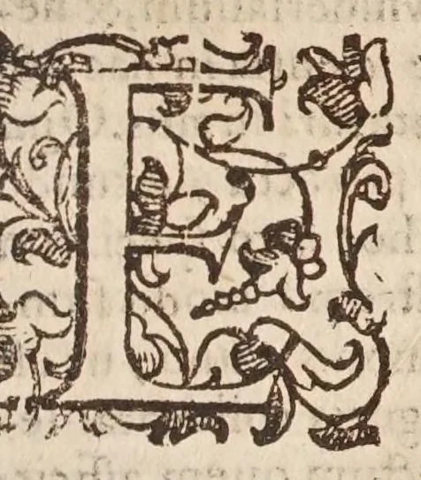 An illustration from Introductionis in vniuersam philosophiam libri quattuor : in quibus philosophiae humanaeq; scientiae ortus, natura, partes, & attributa, multorumq; philosophorum scholę, ac errata explicantur, atq; recta philosophandi ratio docetur, 1599, leaf 157