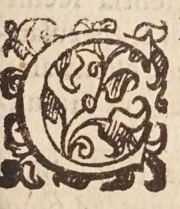 An illustration from Introductionis in vniuersam philosophiam libri quattuor : in quibus philosophiae humanaeq; scientiae ortus, natura, partes, & attributa, multorumq; philosophorum scholę, ac errata explicantur, atq; recta philosophandi ratio docetur, 1599, leaf 257