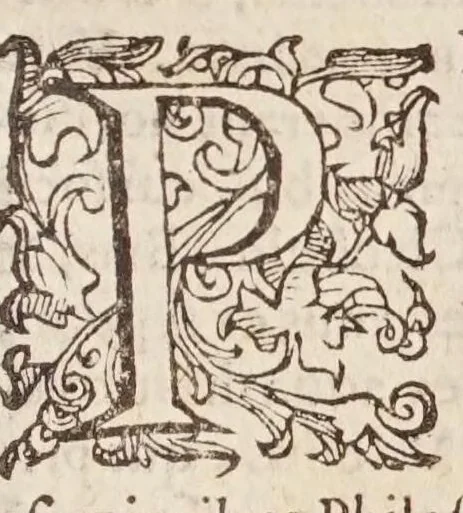 An illustration from Introductionis in vniuersam philosophiam libri quattuor : in quibus philosophiae humanaeq; scientiae ortus, natura, partes, & attributa, multorumq; philosophorum scholę, ac errata explicantur, atq; recta philosophandi ratio docetur, 1599, leaf 369