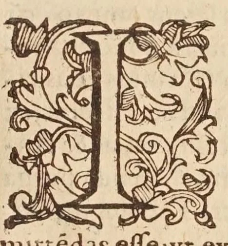 An illustration from Introductionis in vniuersam philosophiam libri quattuor : in quibus philosophiae humanaeq; scientiae ortus, natura, partes, & attributa, multorumq; philosophorum scholę, ac errata explicantur, atq; recta philosophandi ratio docetur, 1599, leaf 455