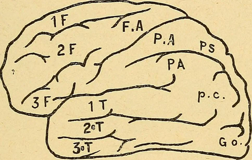 An illustration from Introduction à la médecine de l'esprit, 1898, leaf 200