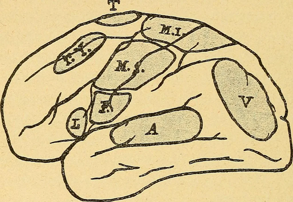 An illustration from Introduction à la médecine de l'esprit, 1898, leaf 435